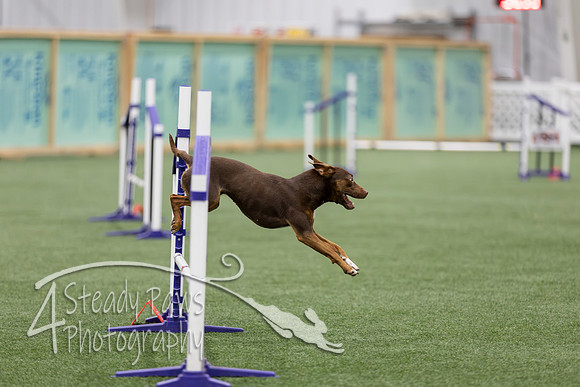 RookieICEJumping2026228
