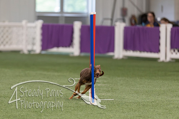 RookieICEJumping2026232