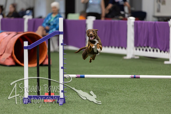 RookieICEJumping2026237