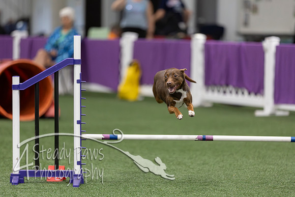 RookieICEJumping2026238