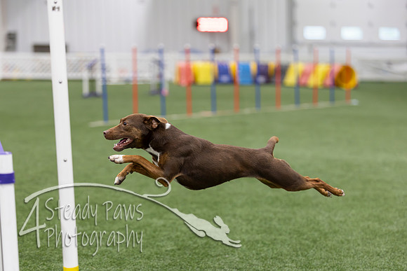 RookieICEJumping2026239