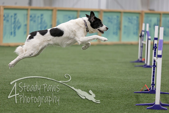 RookieICEJumping2026245