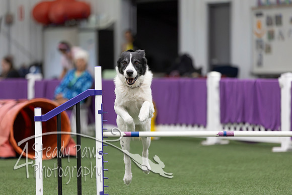 RookieICEJumping2026258