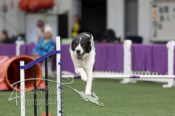 RookieICEJumping2026260