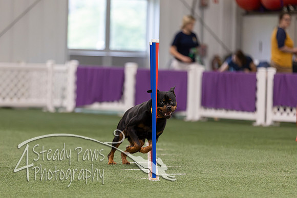 RookieICEJumping2026268
