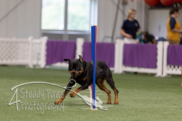 RookieICEJumping2026269