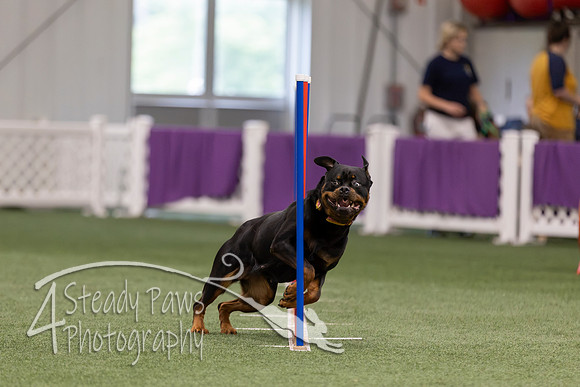 RookieICEJumping2026270