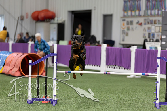 RookieICEJumping2026271