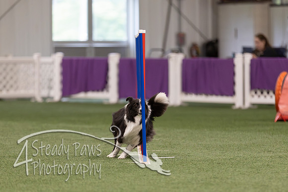 RookieICEJumping2026279