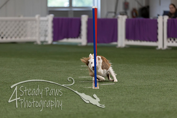 RookieICEJumping2026308