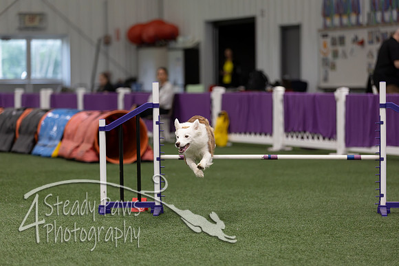 RookieICEJumping2026317