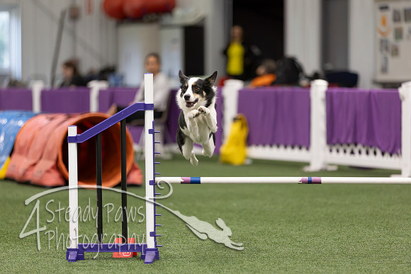 RookieICEJumping2026331
