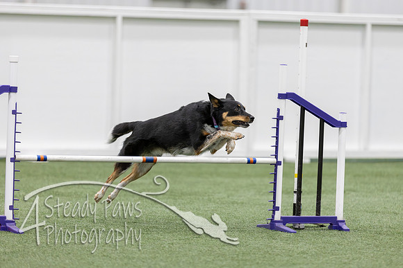 RookieICEJumping2026358