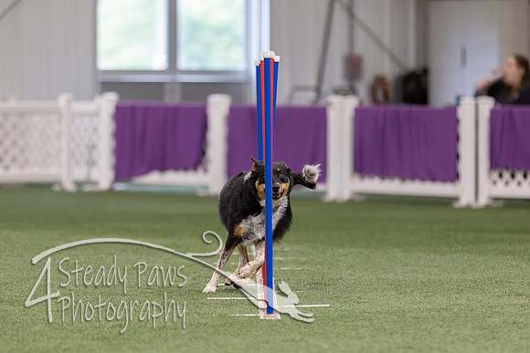 RookieICEJumping2026362