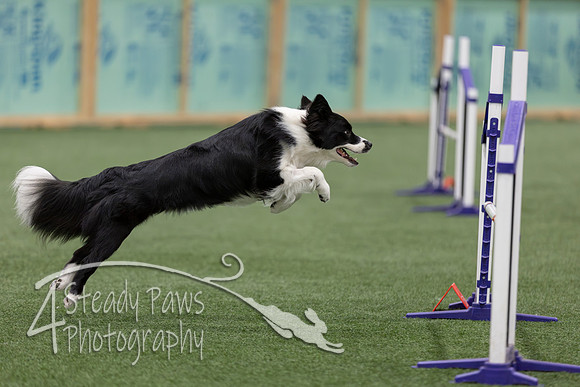 RookieICEJumping2026389