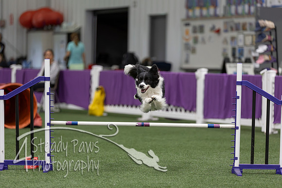 RookieICEJumping2026402
