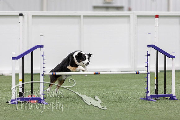RookieICEJumping2026415