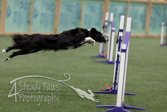 RookieICEJumping2026434