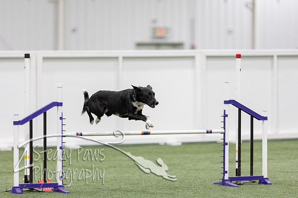 RookieICEJumping2026449