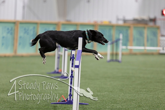 RookieICEJumping2026453