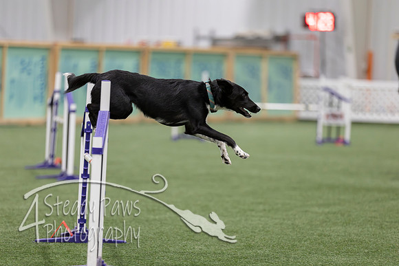 RookieICEJumping2026454