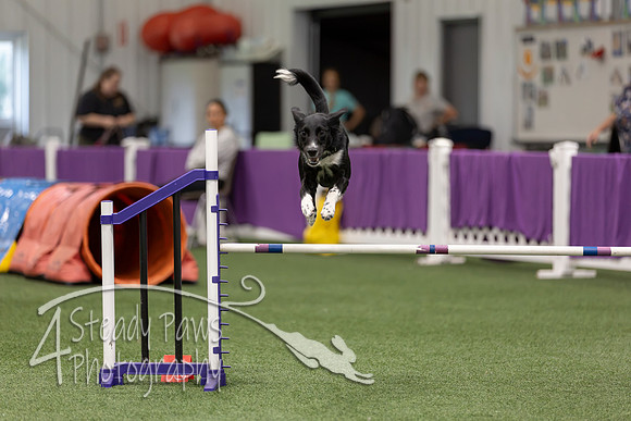 RookieICEJumping2026462