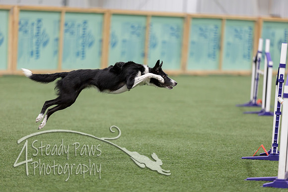 RookieICEJumping2026468