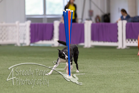 RookieICEJumping2026472