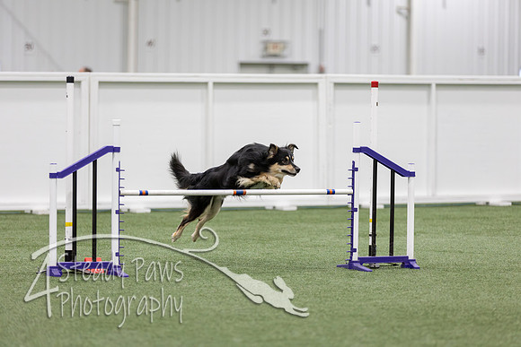 RookieICEJumping2026478
