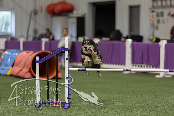 RookieICEJumping2026488