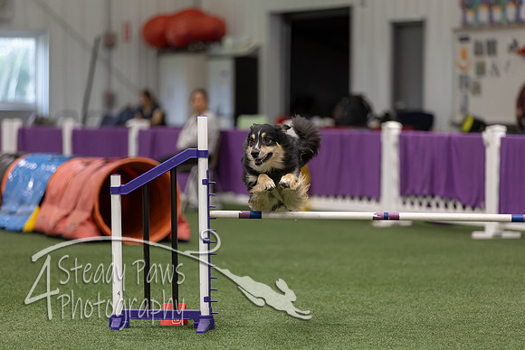 RookieICEJumping2026489