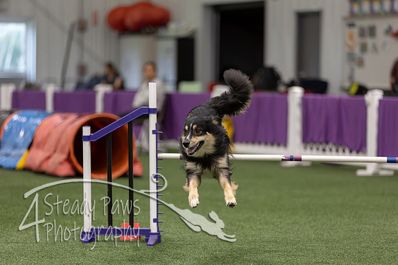 RookieICEJumping2026491