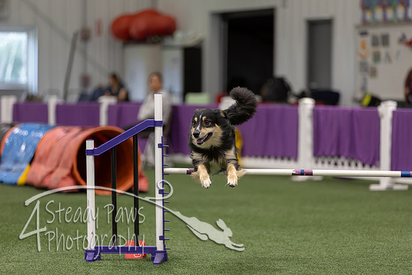 RookieICEJumping2026490