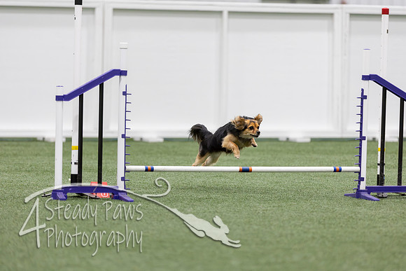 RookieICEJumping2026507