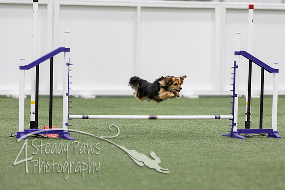 RookieICEJumping2026508