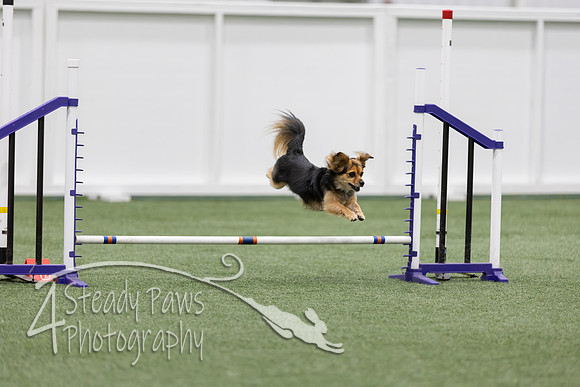 RookieICEJumping2026509