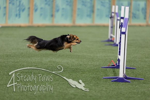 RookieICEJumping2026510