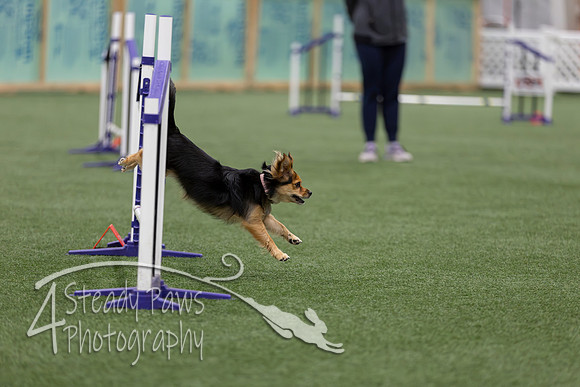 RookieICEJumping2026513