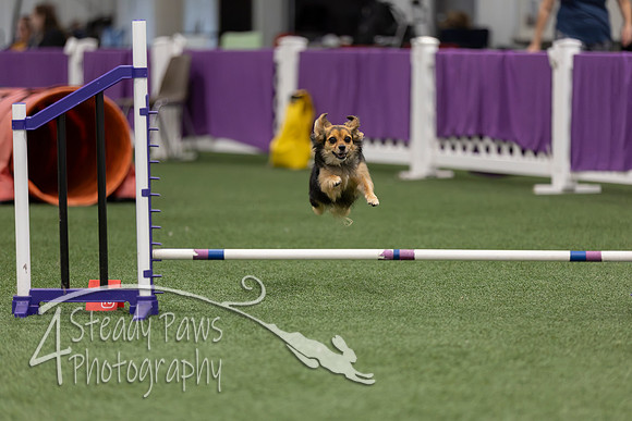 RookieICEJumping2026521