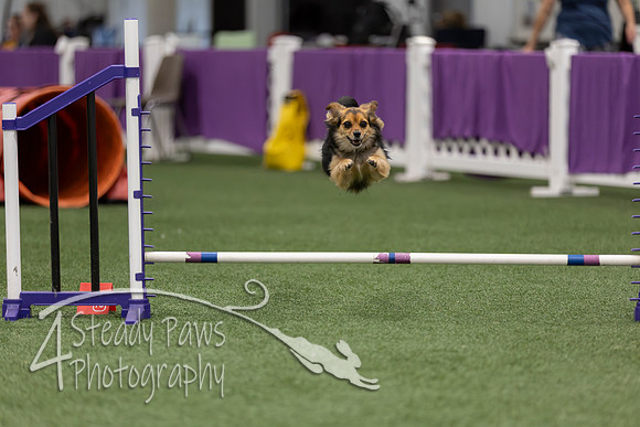 RookieICEJumping2026522
