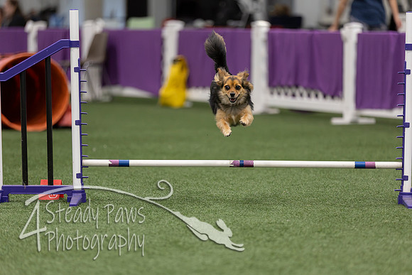 RookieICEJumping2026523