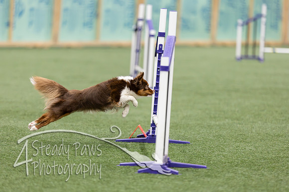 RookieICEJumping2026526