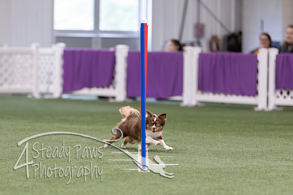 RookieICEJumping2026529
