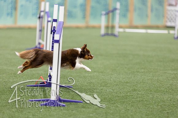 RookieICEJumping2026527