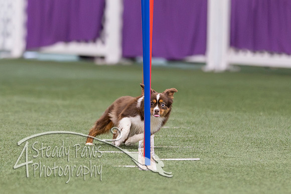 RookieICEJumping2026532