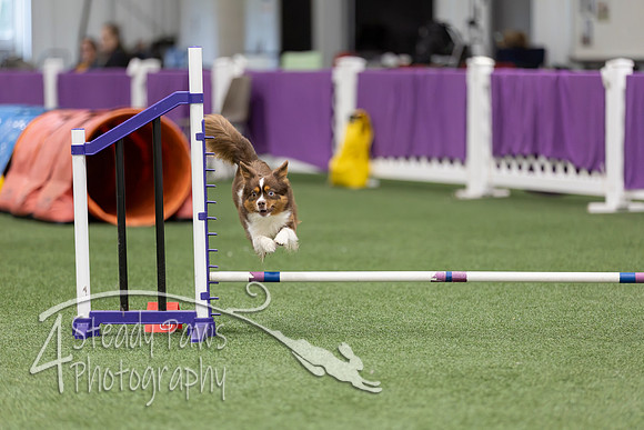 RookieICEJumping2026539
