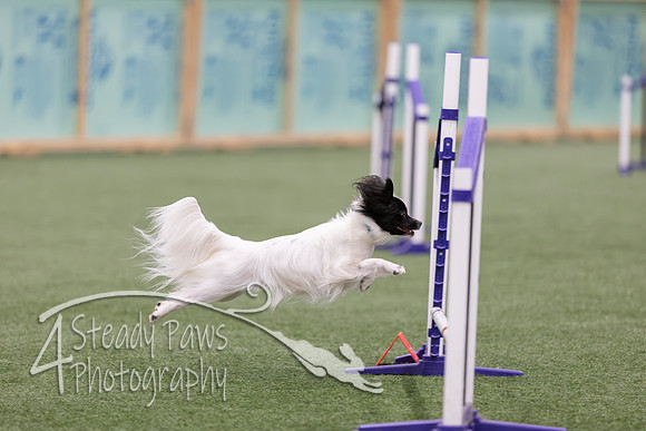 RookieICEJumping2026542