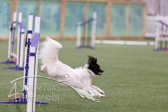 RookieICEJumping2026544