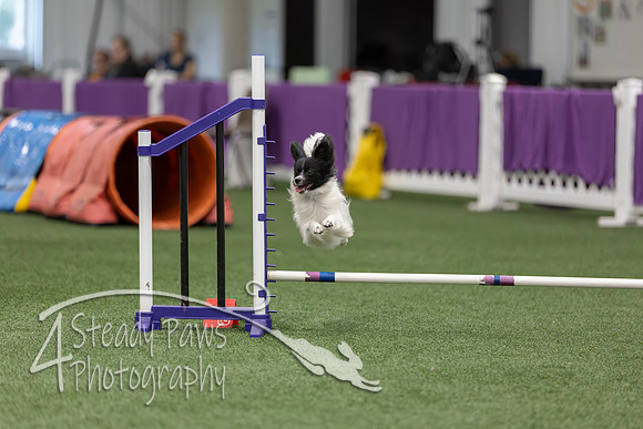 RookieICEJumping2026552