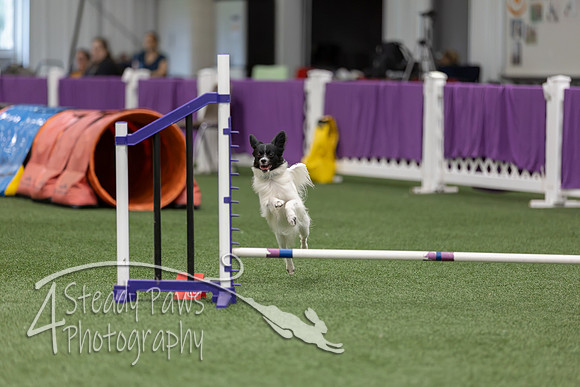 RookieICEJumping2026551
